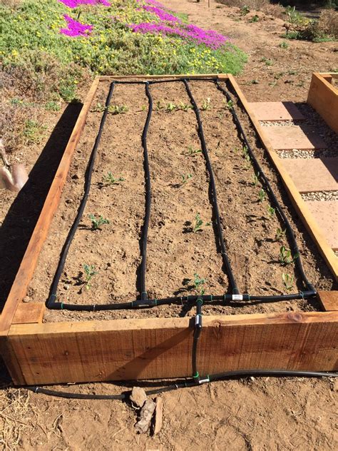 Raised Garden Bed With Irrigation at Reginia George blog