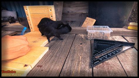 Pallet Wood Planter Box (+video) : 25 Steps (with Pictures) - Instructables