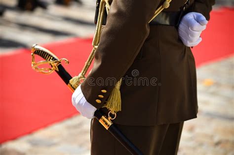 Guard of Honor during a Military Ceremony Stock Photo - Image of parade ...