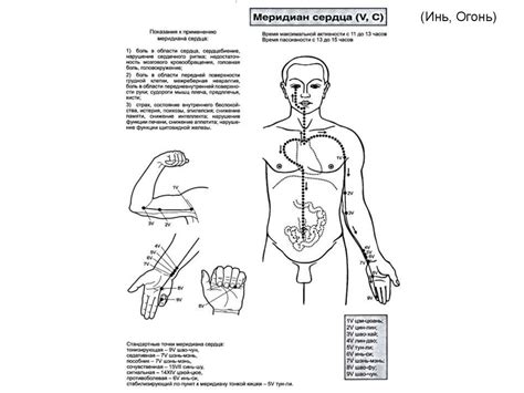 Точечный массаж - презентация онлайн