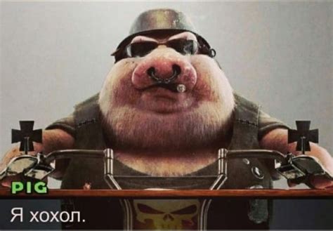 Создать мем "крутой свин, боевые свиньи, злая свинья" - Картинки - Meme ...