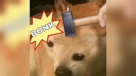 Bonk (Cheems): Image Gallery (Sorted by Oldest) (List View) | Know Your ...