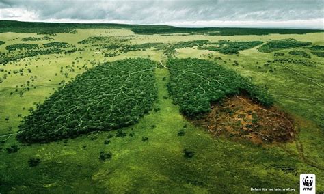 O Que É Impacto Ambiental - Impacto Ambiental - o que é, causas, tipos, consequências e exemplos