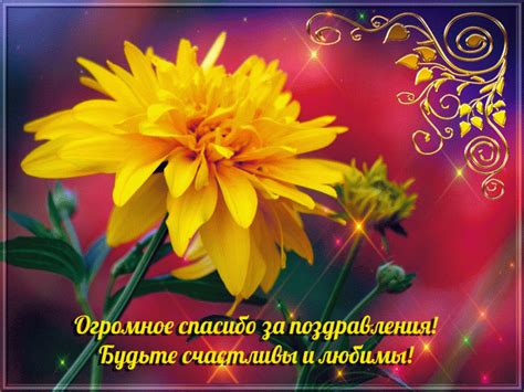 Благодарю. | Поздравления