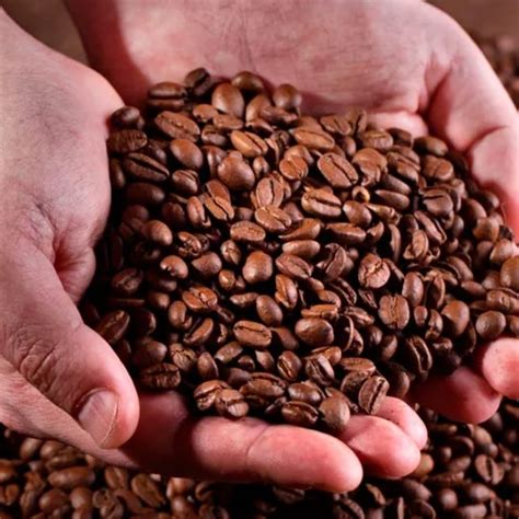 La importancia del café colombiano en el mundo | NESCAFÉ®