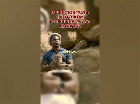 Решил поиграть с контенком, но пришла мама ЛЕОПАРД😱 #shorts #фильм # ...