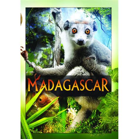 Madagascar (DVD) - Walmart.com - Walmart.com