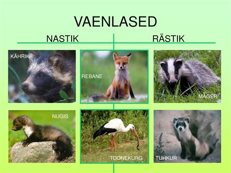 PPT - NASTIK PowerPoint Presentation, free download - ID:6916725