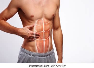 671 Chest Abdominal Injuries Royalty-Free Photos and Stock Images ...