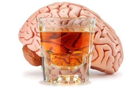 drd  protect brain regions  alcohol induced brain damage