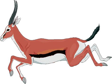 Clipart gazelle cartoon