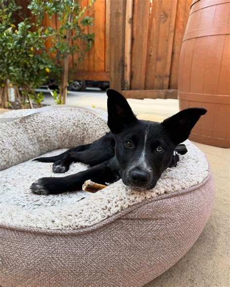 Adriana Margarita Vasquez | Life lately 🥰 | Instagram