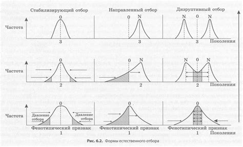Формы естественного отбора, виды борьбы за существование