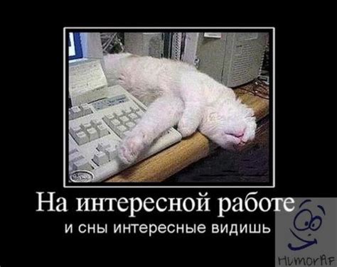 Смешные картинки про работу (69 картинок и фото)