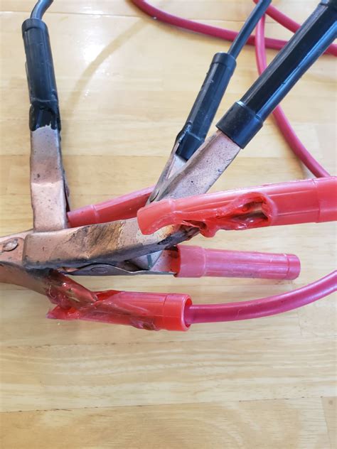 Courage at Twilight: Reminiscing with Mr. Towhee | Rabbit Lane