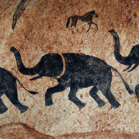 Cave Elephant Digital Art by Denise Deiloh - Fine Art America