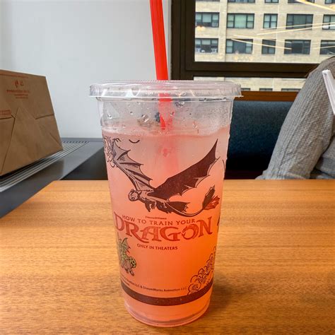 how to train your dragon meal 1