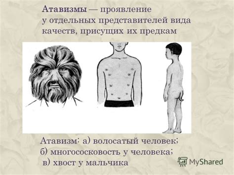 Презентация на тему: "Презентация к уроку по биологии (11 класс) по ...