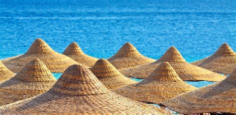 photo resort background