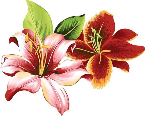 цветы карандашом рисунки - Пошук Google | Flower art, Vector flowers ...