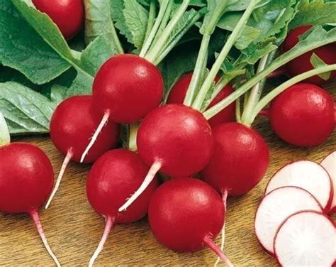 Купить Редис Жара 3 г Цена, фото, описание, отзывы. Курьерская доставка ...