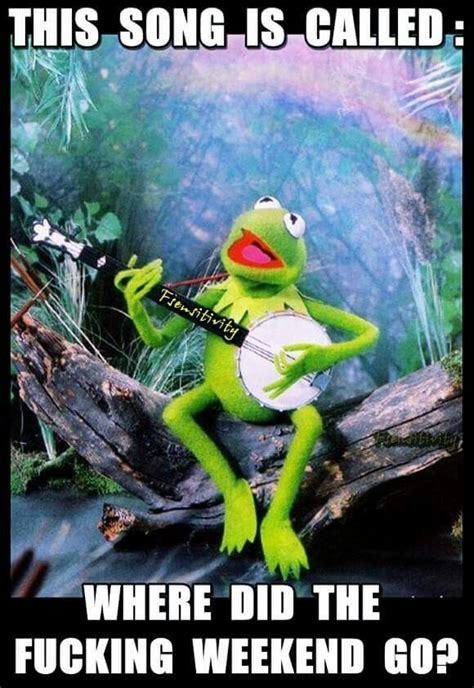 264 best images about Kermit Memes on Pinterest