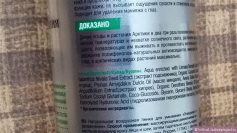 Пенка для умывания Planeta Organica Secrets of Arctica отзывы ...