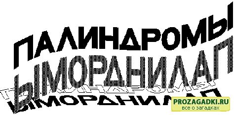 Палиндром. Что это такое? Слова, примеры и решения | ПроЗагадки.ру