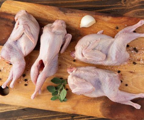 Buy Quail Meat - Buy Whole Quail - Rabbit Meat For Sale Online