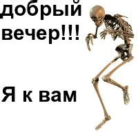 скелет