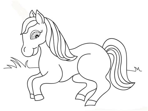 sketsa gambar hewan  gampang diwarnai  tk paud sd