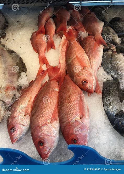 International Supermarket stock image. Image of import - 128349145