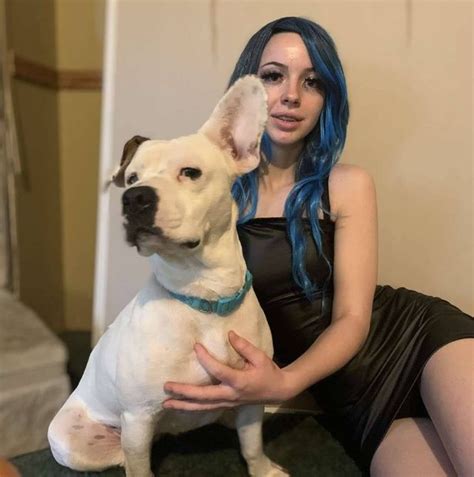 vile twitter users    teen arrested  dog sex vid