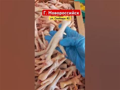 Лапки домашней курицы - YouTube
