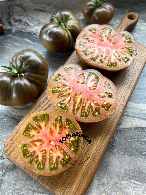 Гном Стринги (The Thong dwarf) – Tomatinсa.ru