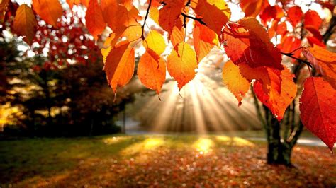high resolution fall wallpapers top  high resolution fall