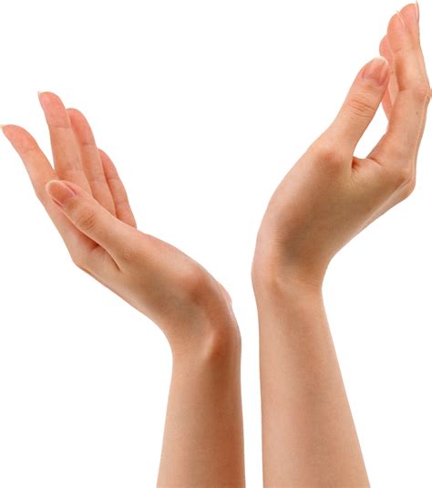hand forearm hands png  png    transparent