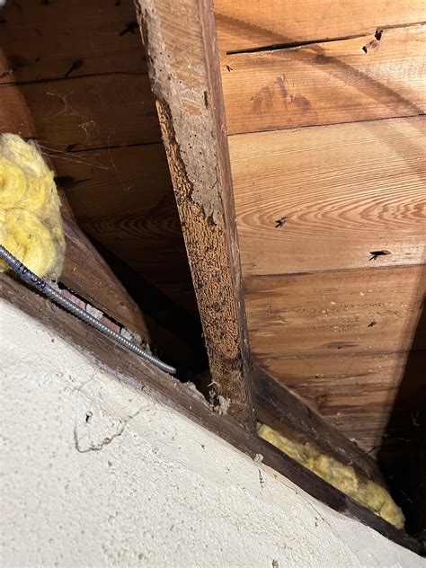 first time home owner ohio 13