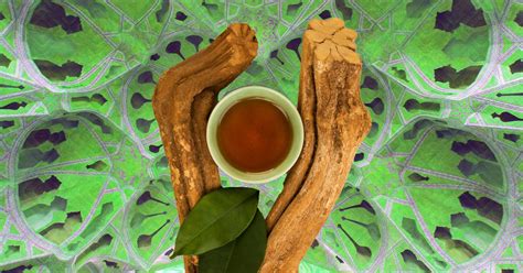 Ayahuasca - The cure for addiction? Delamere Rehab