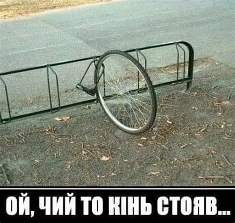 Вкрадено велосипед | Меми, Гумор, Коні