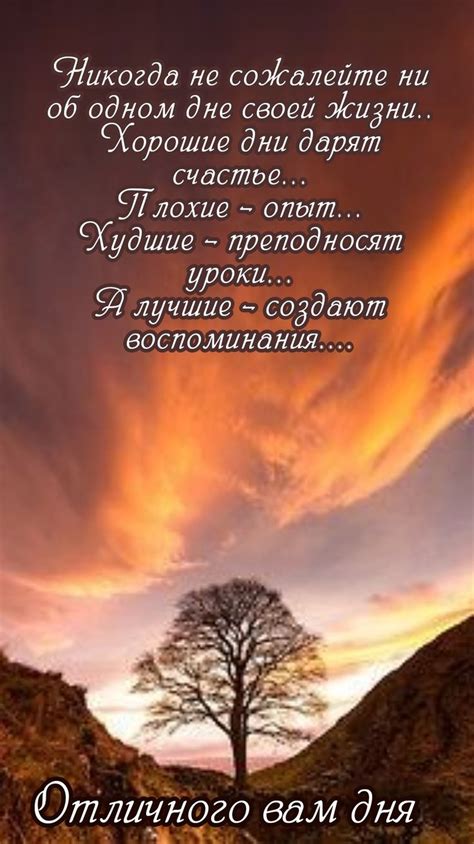 Пин на доске Пожелания... | Душевные цитаты, Вдохновляющие фразы ...