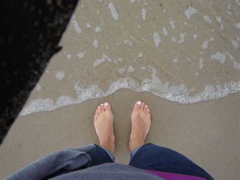 step career life direction