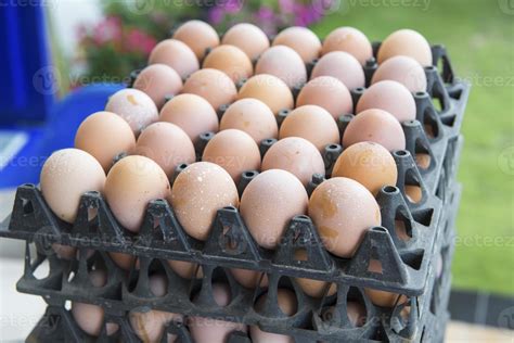 egg tray stock  images  backgrounds