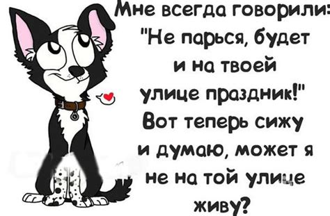 Приколи - картинки, відео приколи, смішні історії та анекдоти