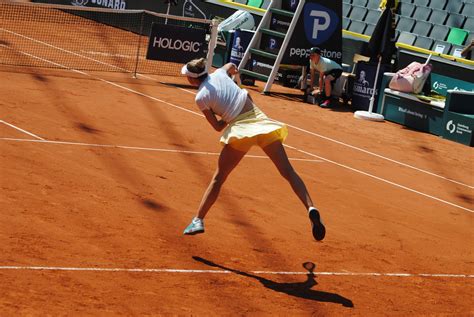 WTA Announces 2024 Board And Council Election Results - Tennis TourTalk