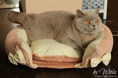 Кроватка для кошки.