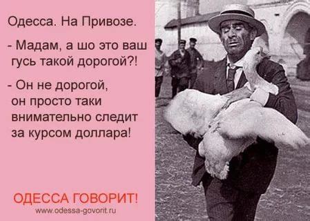 одесский юмор: 13 тыс изображений найдено в Яндекс.Картинках | Юмор