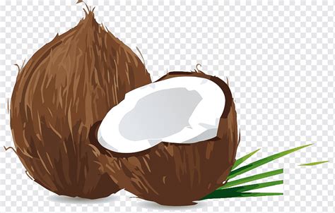 Material de coco, coco, colchón, comida, mitad png | PNGWing