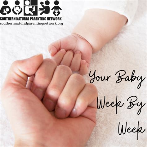 baby week  week southern natural parenting network