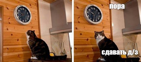 Создать комикс мем "мем кот пора, мем с котом и часами пора, кот ждет ...